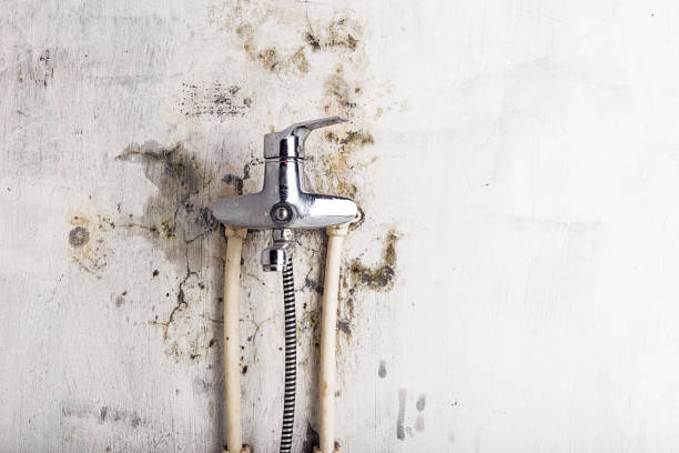 Best Post-Flood Mold Remediation in Haslet, TX